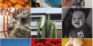 Beitragsbild des Blogbeitrags Instagram 