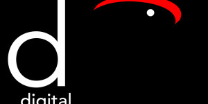 Beitragsbild des Blogbeitrags DVI-Versionen