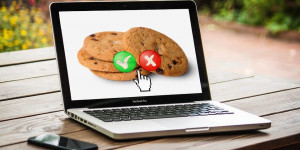 Beitragsbild des Blogbeitrags Cookies (nicht) zulassen