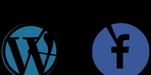 Beitragsbild des Blogbeitrags Facebook-Archiv in WordPress publizieren II