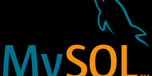 Beitragsbild des Blogbeitrags MS SQL MySQL