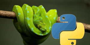 Beitragsbild des Blogbeitrags Python 