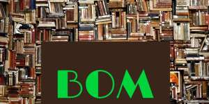 Beitragsbild des Blogbeitrags Orientierung-BOM