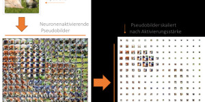 Beitragsbild des Blogbeitrags Artificial Intelligence und die berüchtigte Blackbox