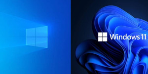 Beitragsbild des Blogbeitrags Über die Windows 10 und Windows 11 Nutzung 