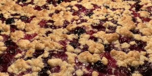 Beitragsbild des Blogbeitrags Heidelbeeren als Streuselkuchen und wo das Superfood zu finden ist