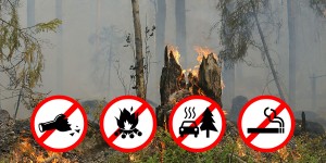 Beitragsbild des Blogbeitrags Anhaltende Hitze und Trockenheit bringt Waldbrandgefahr 