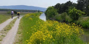 Beitragsbild des Blogbeitrags Wiener Neustädter Kanal ist fit für die NÖ Landesausstellung