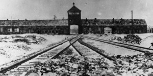 Beitragsbild des Blogbeitrags Niemals vergessen – Jugend gedenkt des Holocaust