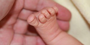 Beitragsbild des Blogbeitrags Baby-Alarm: Zoe kam zu Hause zur Welt 