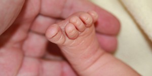 Beitragsbild des Blogbeitrags Baby-Alarm: Zoe kam zu Hause zur Welt