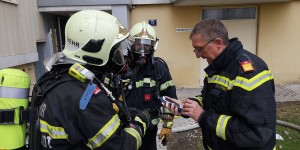 Beitragsbild des Blogbeitrags Wiener Neustadt: Evakuierung eines Wohnhauses nach Brandalarm 