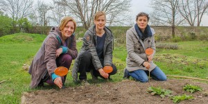 Beitragsbild des Blogbeitrags Pachtvertrag verlängert – kultur.GUT.natur bleibt im Fohlenhof