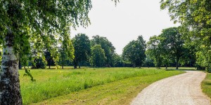 Beitragsbild des Blogbeitrags Wiener Neustadt: Fohlenhof-Areal wird nicht verbaut
