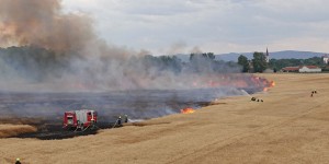Beitragsbild des Blogbeitrags Großeinsatz der Feuerwehren: Flurbrand in Ebenfurth 