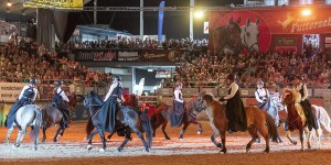 Beitragsbild des Blogbeitrags It’s Showtime: die „Apropos Pferd“ ist startklar