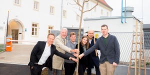 Beitragsbild des Blogbeitrags Mehr Grün muss her: Baumpflanzung am City Campus