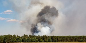 Beitragsbild des Blogbeitrags Großbrand im Föhrenwald – 50 Feuerwehren im Einsatz 