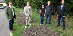 Beitragsbild des Blogbeitrags Wiener Neustadt wirbt für Patenschaft für Bäume und Beete