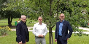 Beitragsbild des Blogbeitrags Wiener Neustadt: SPÖ übernimmt Baumpatenschaften 
