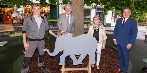 Beitragsbild des Blogbeitrags Baby-Elefanten für Wiener Neustädter Spielplätze
