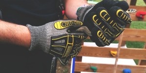 Beitragsbild des Blogbeitrags Wiener Neustadt: Feuerwehr entfernte Schlange aus Garten