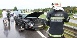 Beitragsbild des Blogbeitrags Ford Mustang crashte auf regennasser Fahrbahn