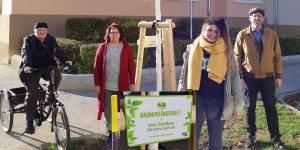 Beitragsbild des Blogbeitrags SPÖ Wiener Neustadt startet „Baumpaten-Offensive“ 