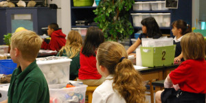 Beitragsbild des Blogbeitrags Wiener Neustadt: auch weiterhin Nachmittagsbetreuung in den Volksschulen