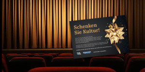 Beitragsbild des Blogbeitrags Wiener Neustadt: Kultur-Gutscheine unterm Weihnachtsbaum