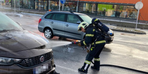 Beitragsbild des Blogbeitrags Wiener Neustadt: Fahrzeugbrand beim Fischapark
