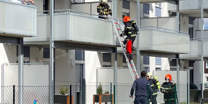 Beitragsbild des Blogbeitrags Brand in der Teichgasse – Nachbar löscht mit Gartenschlauch