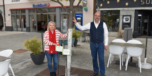 Beitragsbild des Blogbeitrags Wiener Neustadt: neue Baumpatenschaften der SPÖ