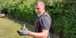 Beitragsbild des Blogbeitrags Feuerwehr rettet Jungvogel aus Dachrinne