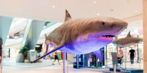 Beitragsbild des Blogbeitrags Ausstellung „Riesen der Meere“ zu Gast im Fischapark