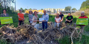 Beitragsbild des Blogbeitrags Grüne: Initiativantrag für „echten Baumschutz“ in Wr. Neustadt