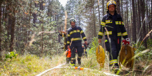 Beitragsbild des Blogbeitrags Achtung! Gefahr von Wald- und Flurbränden im Stadtgebiet 