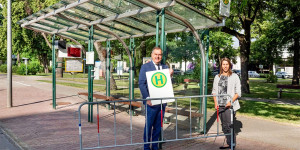 Beitragsbild des Blogbeitrags Wiener Neustadt testet Haltestellen mit Dach-Begrünung
