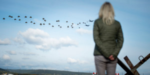 Beitragsbild des Blogbeitrags 120 Fallschirmspringer am Himmel über Wiener Neustadt