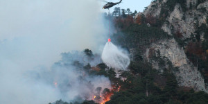 Beitragsbild des Blogbeitrags Waldbrand im Rax-Gebiet, Wohnungsbrand und Verkehrsunfälle 