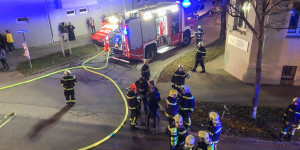 Beitragsbild des Blogbeitrags Großeinsatz: Wohnungsbrand mit Menschenrettung in Wr. Neustadt