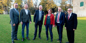 Beitragsbild des Blogbeitrags Wiener Neustadt: Baumschutzverordnung wird erweitert