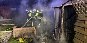 Beitragsbild des Blogbeitrags Wiener Neustadt: Brand am Reiterer Badesee
