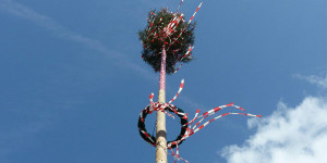 Beitragsbild des Blogbeitrags Feierliches Maibaumaufstellen in Wiener Neustadt