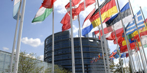 Beitragsbild des Blogbeitrags Bürgerforum des Europäischen Parlaments in Wiener Neustadt 