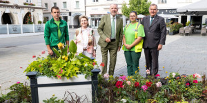 Beitragsbild des Blogbeitrags Wiener Neustadt: Neue Blumenbeete am Hauptplatz 