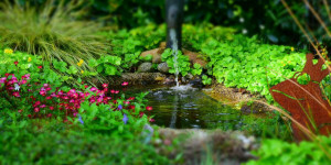 Beitragsbild des Blogbeitrags Hitzetipps zum Schutz für Garten, Balkon und Terrasse