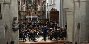 Beitragsbild des Blogbeitrags Wiener Neustadt: Das „Orchester Wiener Akademie“ gastiert im Dom 