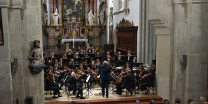 Beitragsbild des Blogbeitrags Wiener Neustadt: Das „Orchester Wiener Akademie“ gastiert im Dom