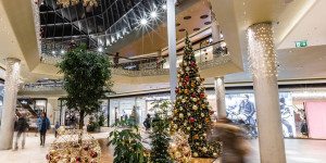 Beitragsbild des Blogbeitrags Weihnachtsbeleuchtung im Fischapark wird heuer reduziert
